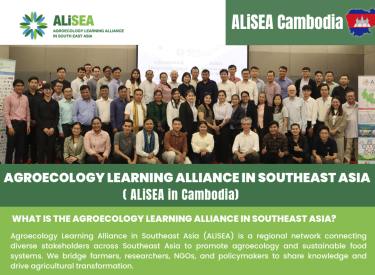 WHAT IS THE AGROECOLOGY LEARNING ALLIANCE IN SOUTHEAST ASIA?